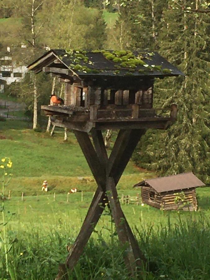 Hof Hintererb Kitzbühel Exterior foto